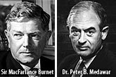 Sir Macfarlance Burnet és Dr. Peter B. Medawar